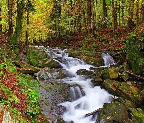 Bieszczady – idealne góry na spokojny urlop